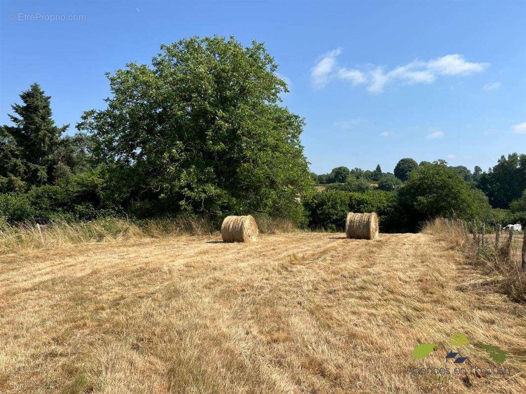 Terrain à CHATEAUNEUF-LA-FORET