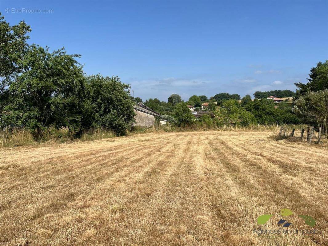 Terrain à CHATEAUNEUF-LA-FORET