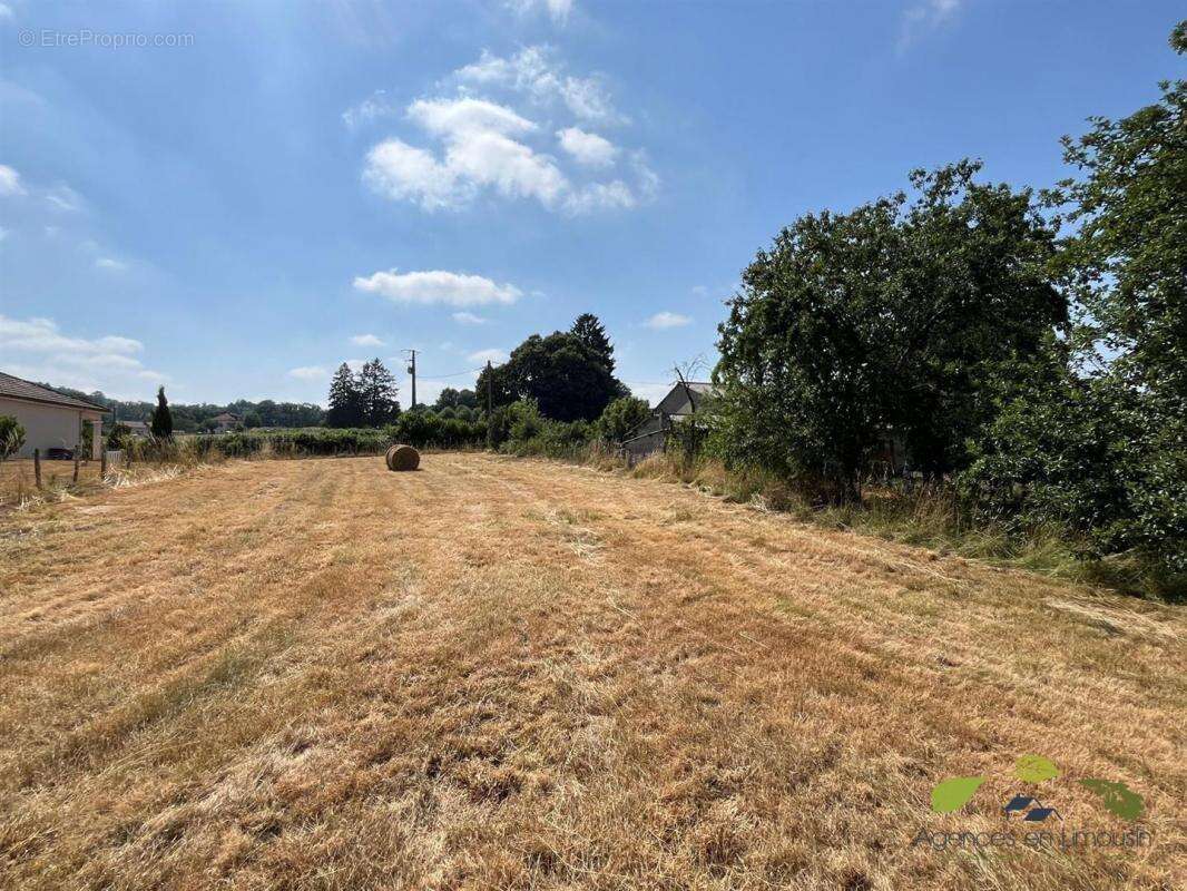 Terrain à CHATEAUNEUF-LA-FORET