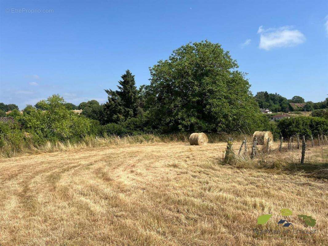 Terrain à CHATEAUNEUF-LA-FORET