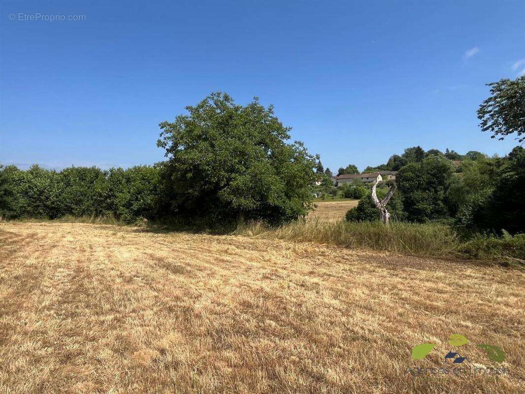 Maison à CHATEAUNEUF-LA-FORET