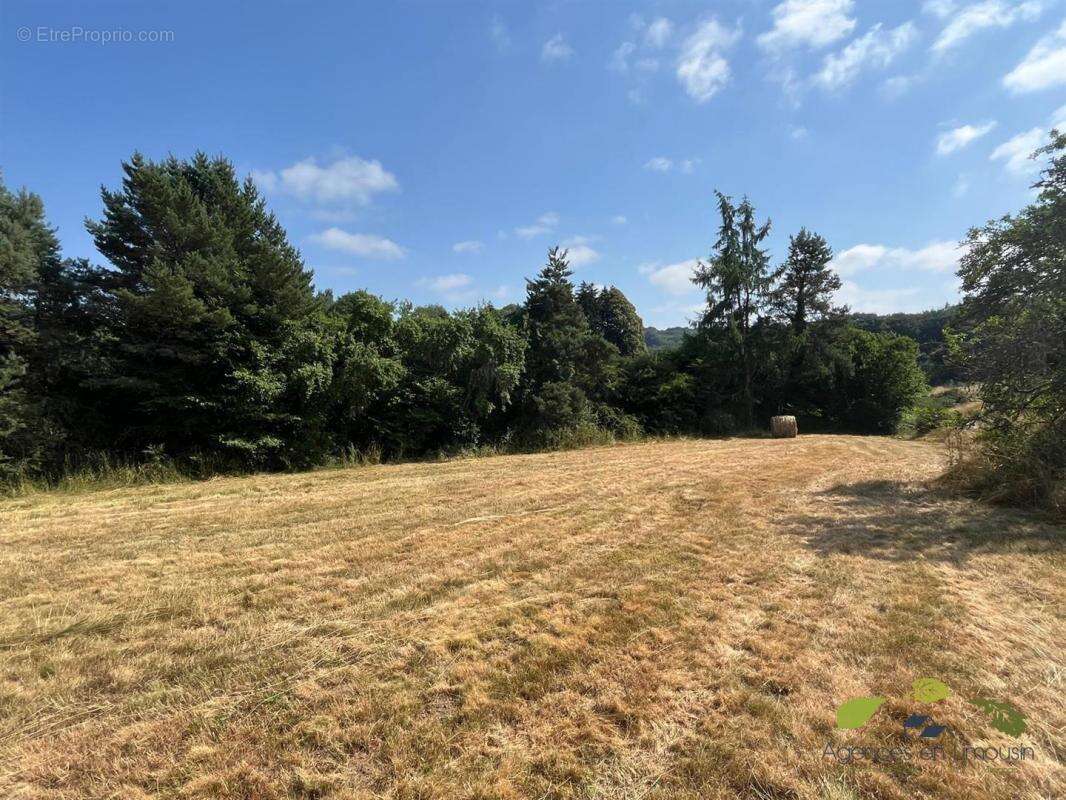 Maison à CHATEAUNEUF-LA-FORET