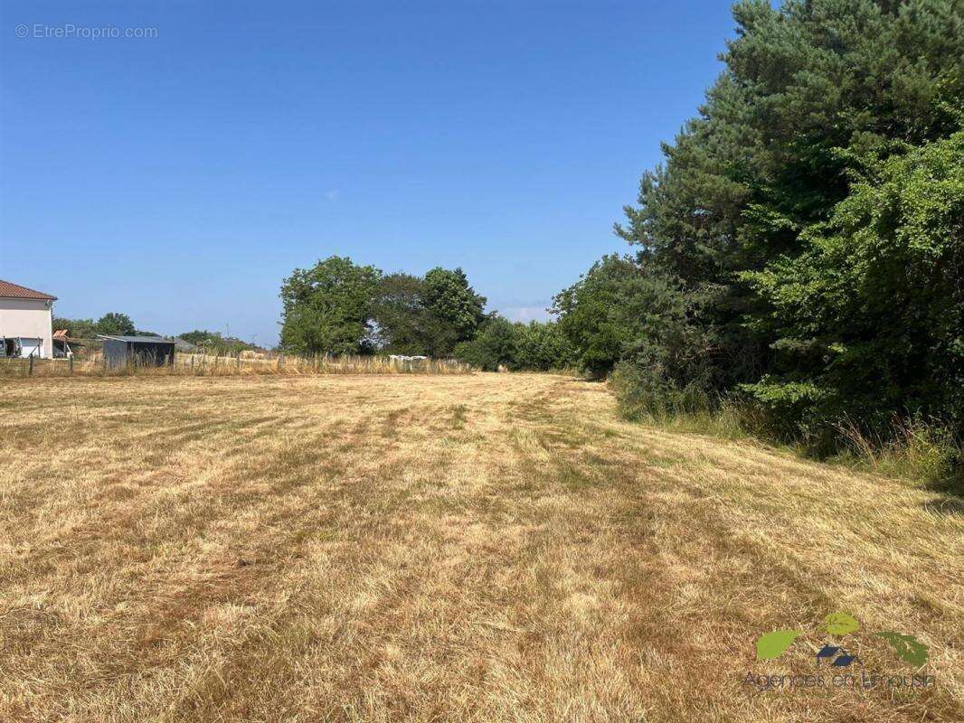 Maison à CHATEAUNEUF-LA-FORET
