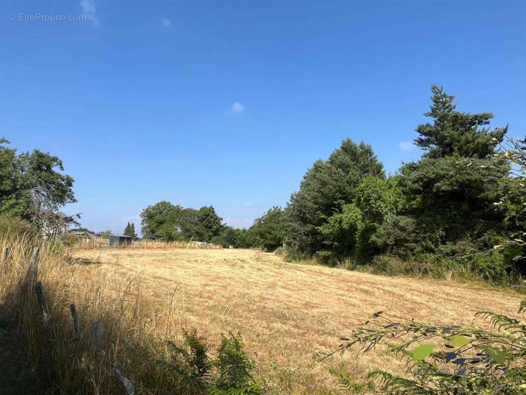Maison à CHATEAUNEUF-LA-FORET