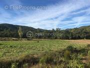 Terrain à BORMES-LES-MIMOSAS