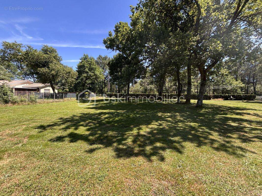 Terrain à SAINT-JEAN-D&#039;ILLAC