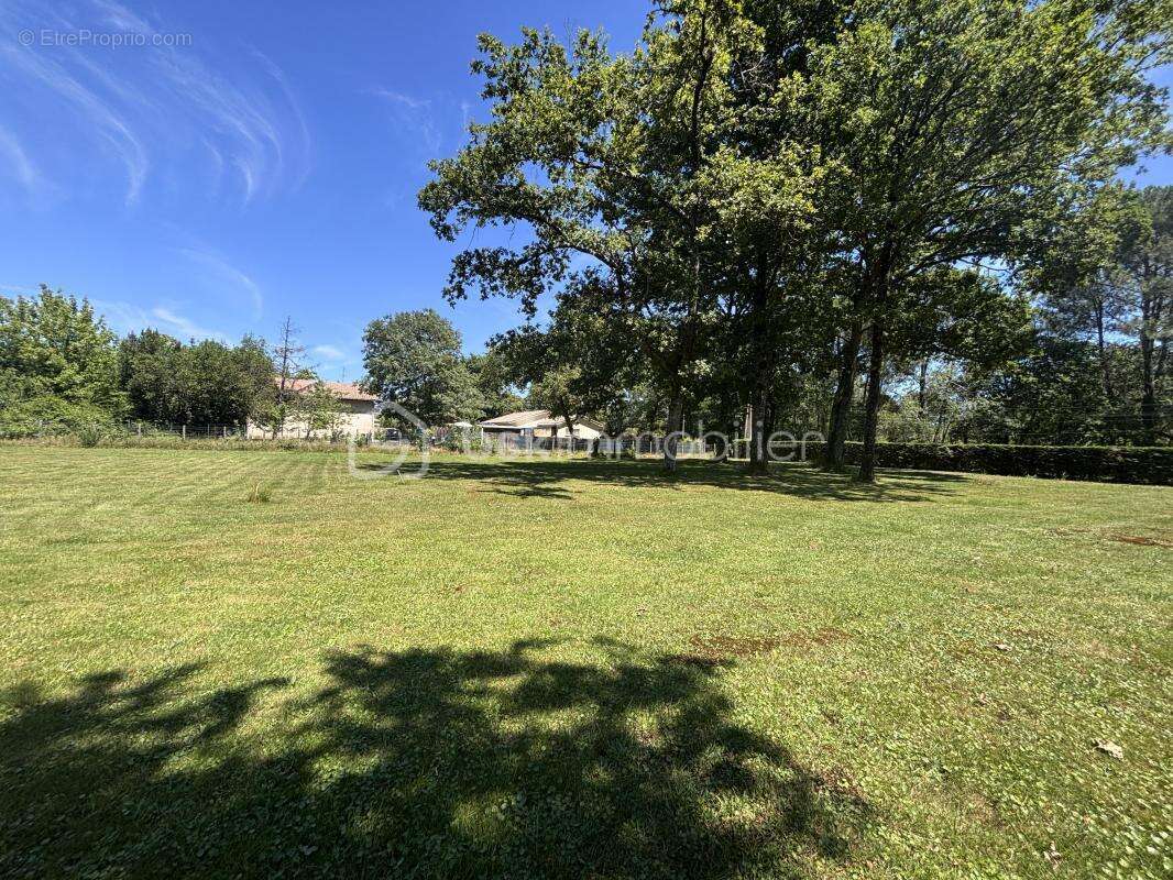 Terrain à SAINT-JEAN-D&#039;ILLAC