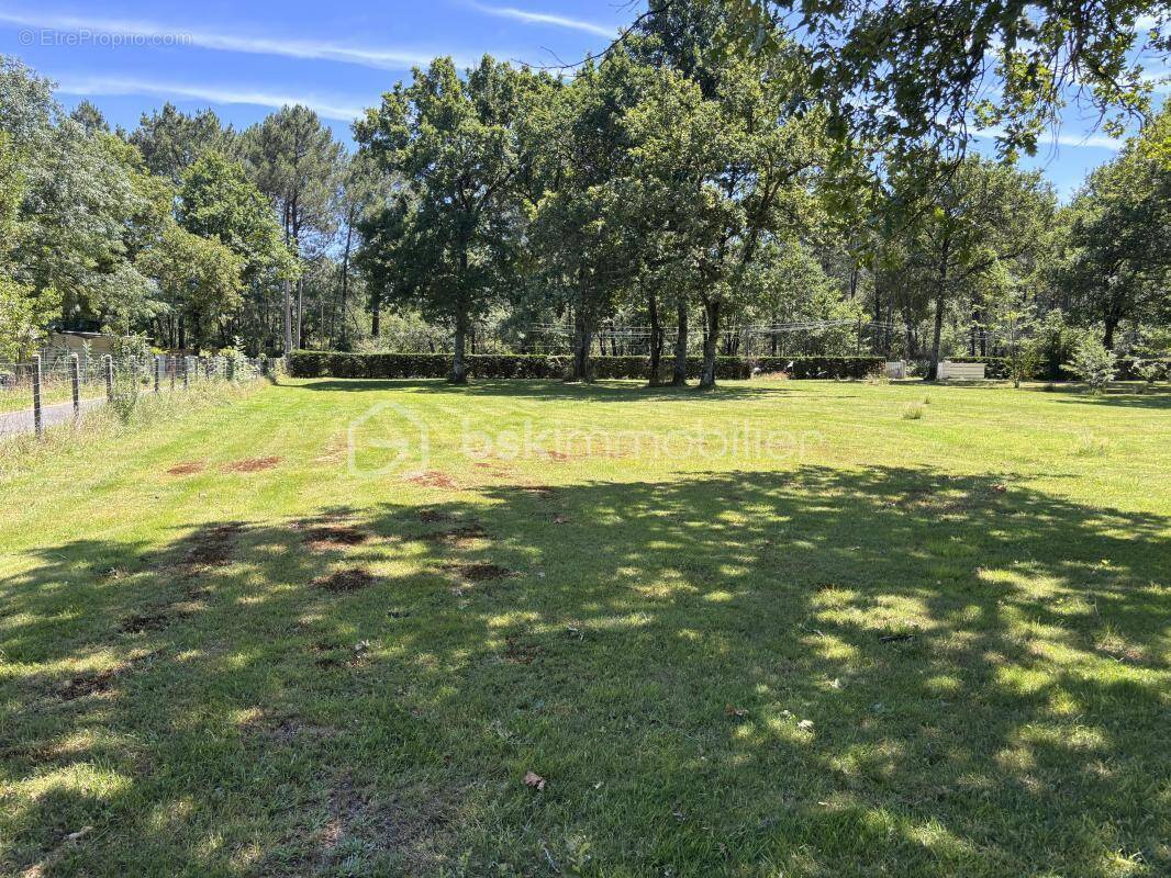 Terrain à SAINT-JEAN-D&#039;ILLAC