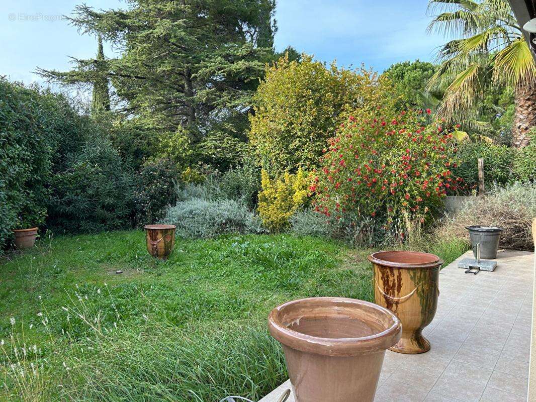 Maison à MONTPELLIER