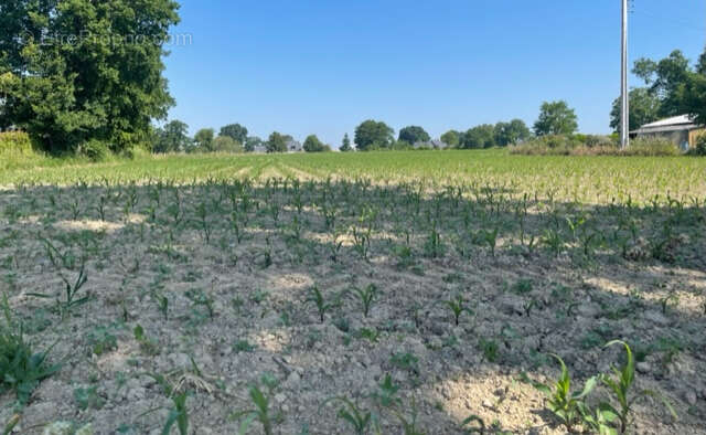 Terrain à SIXT-SUR-AFF