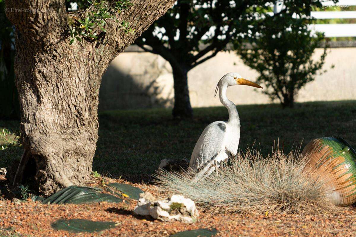 Maison à NOTRE-DAME-D&#039;OE