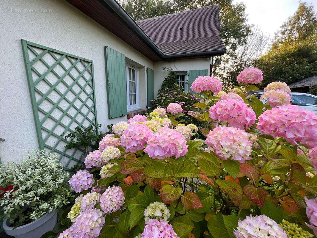 Maison à PONT-L&#039;EVEQUE
