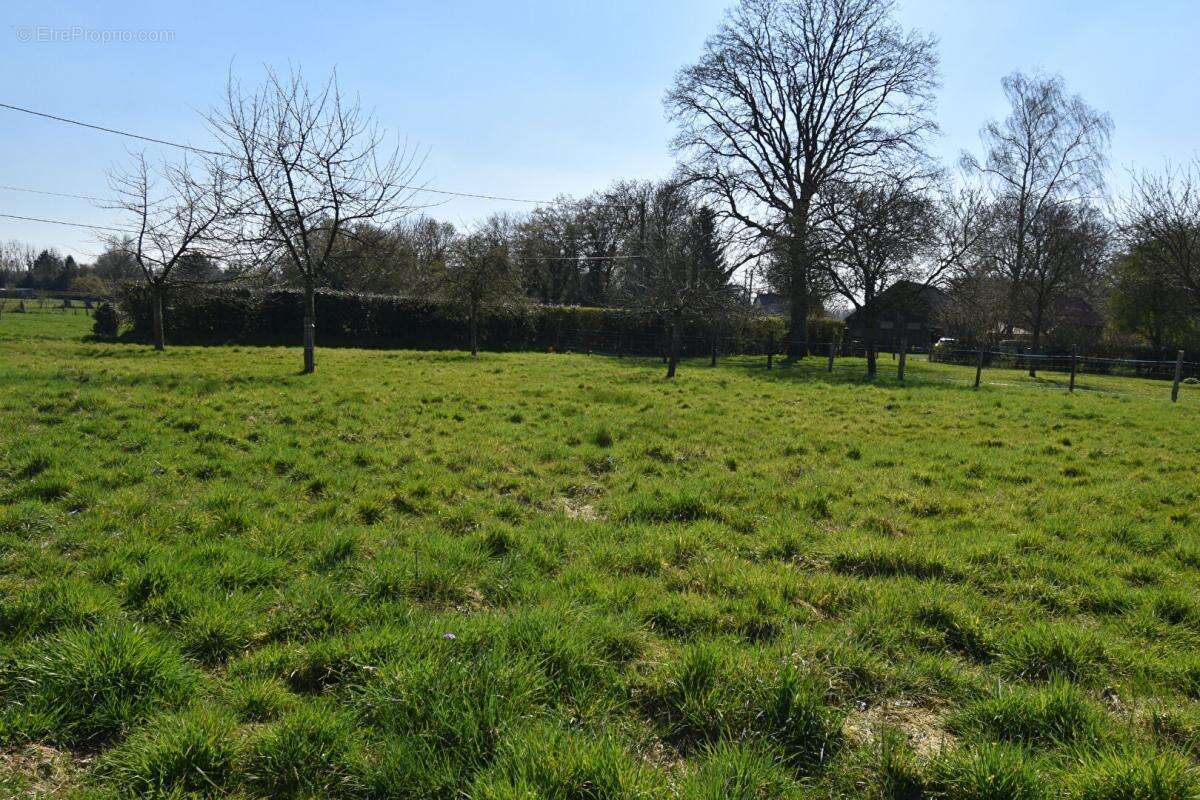 Terrain à HAUVILLE