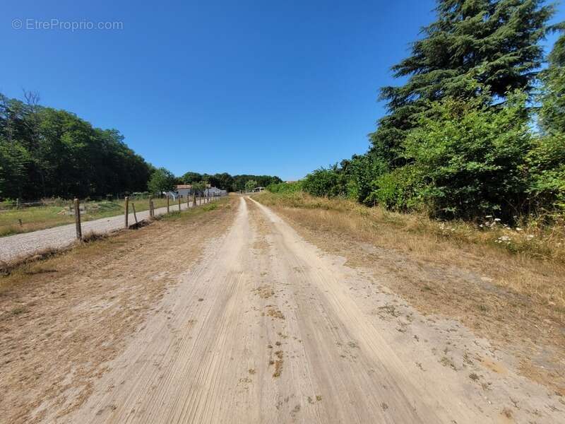 Terrain à CISSAC-MEDOC
