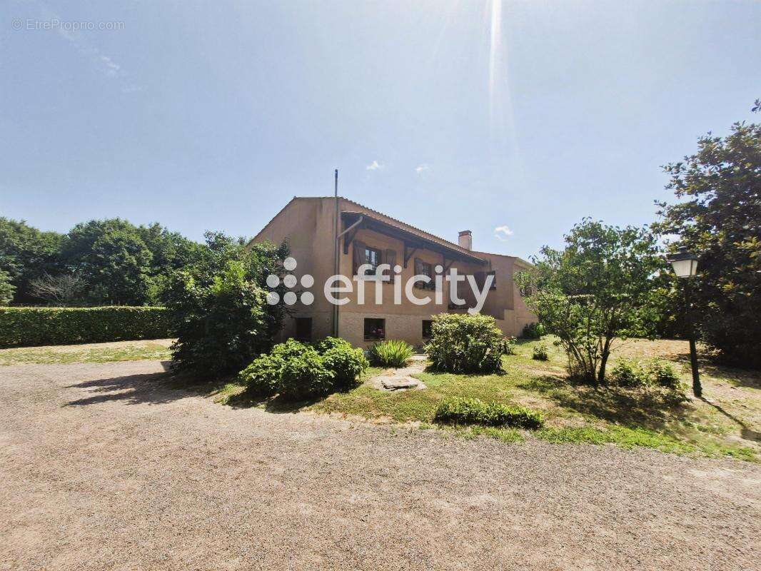 Maison à SAINTE-FLAIVE-DES-LOUPS