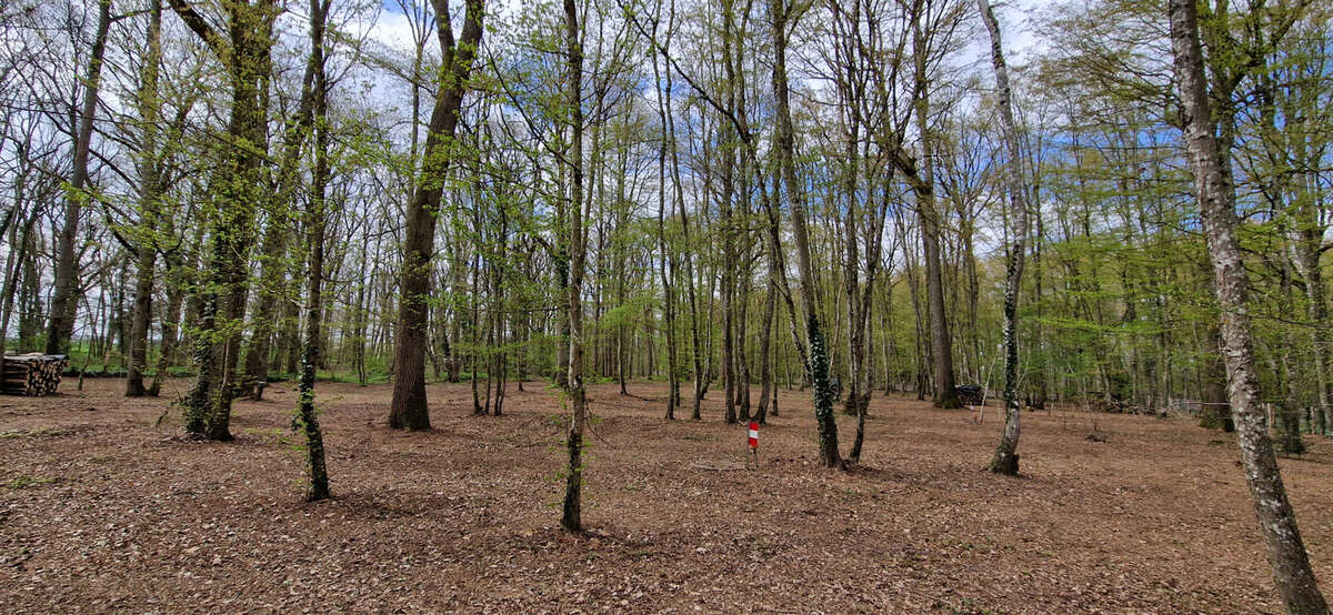 Maison à CHATEAUDUN