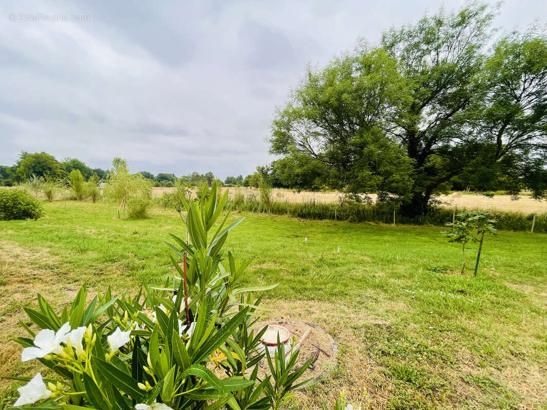 Maison à CHAMADELLE