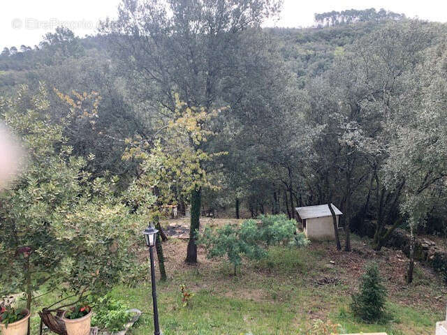 Maison à SAINT-SEBASTIEN-D'AIGREFEUILLE