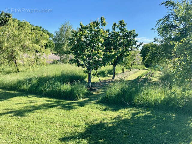 Maison à SALLES-DE-BARBEZIEUX