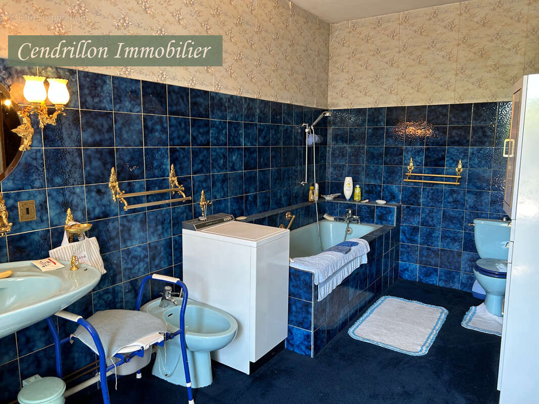 Maison à SAUVIAT-SUR-VIGE