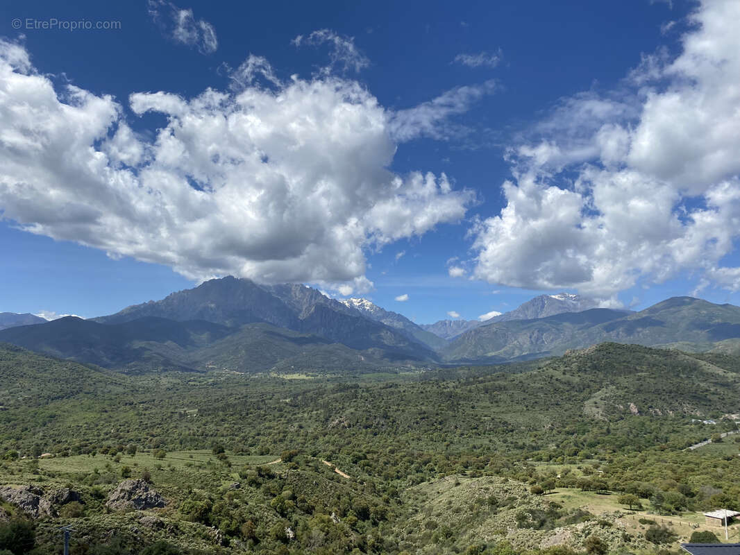 Maison à CANAVAGGIA