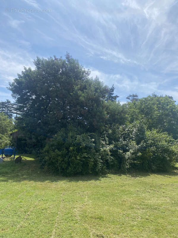 Maison à LABRUGUIERE