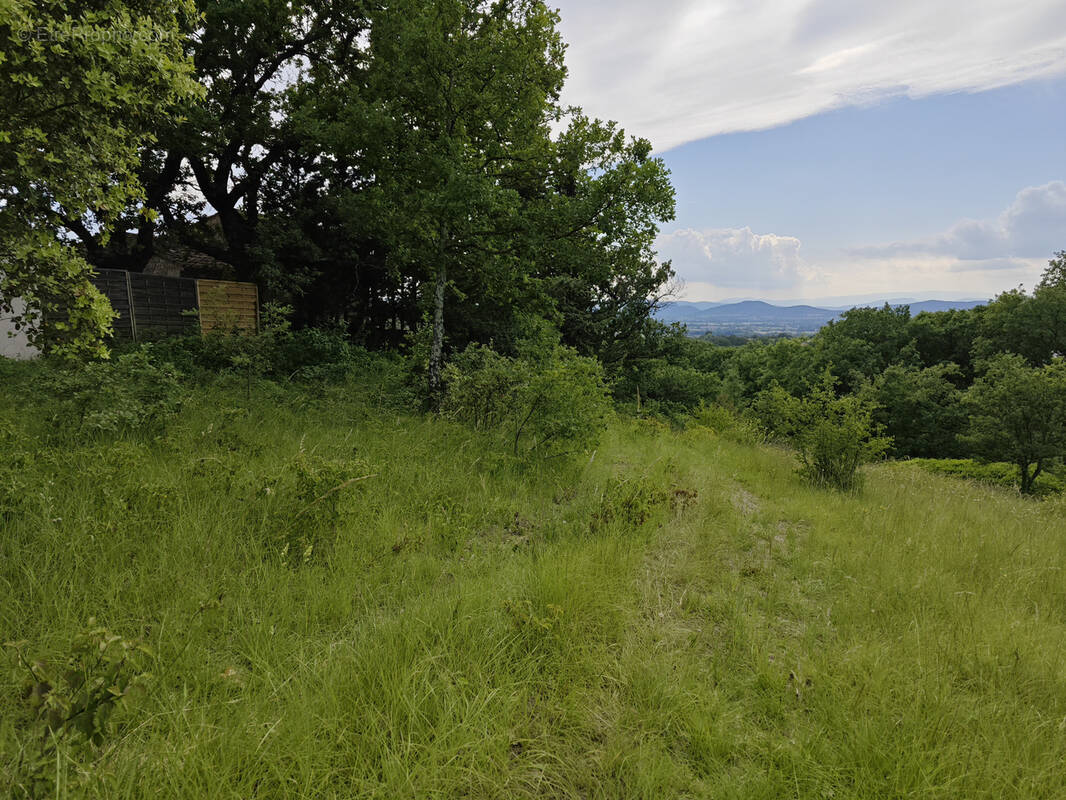 Terrain à BARJAC