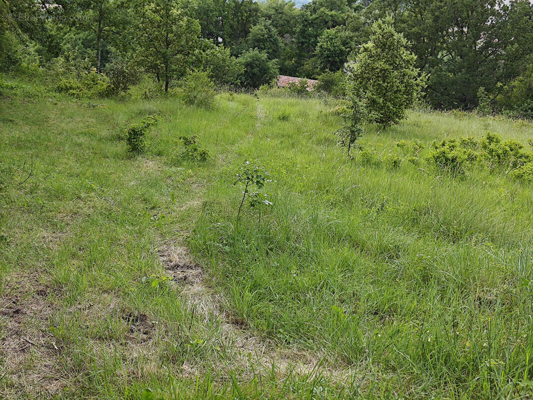 Terrain à BARJAC