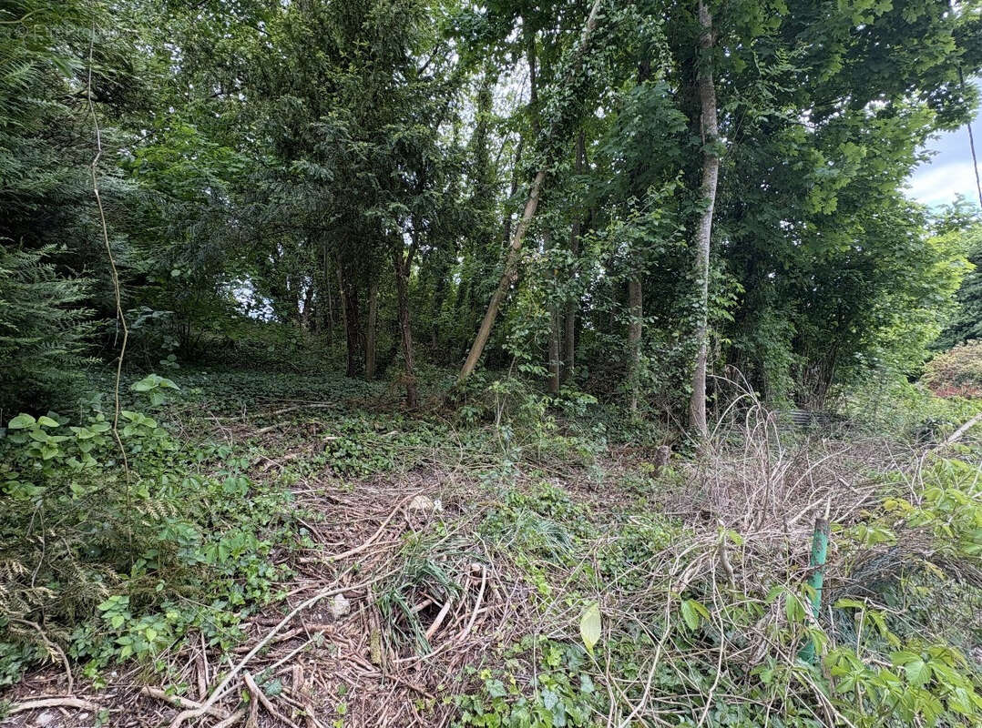 Terrain à SAINT-VAAST-LES-MELLO