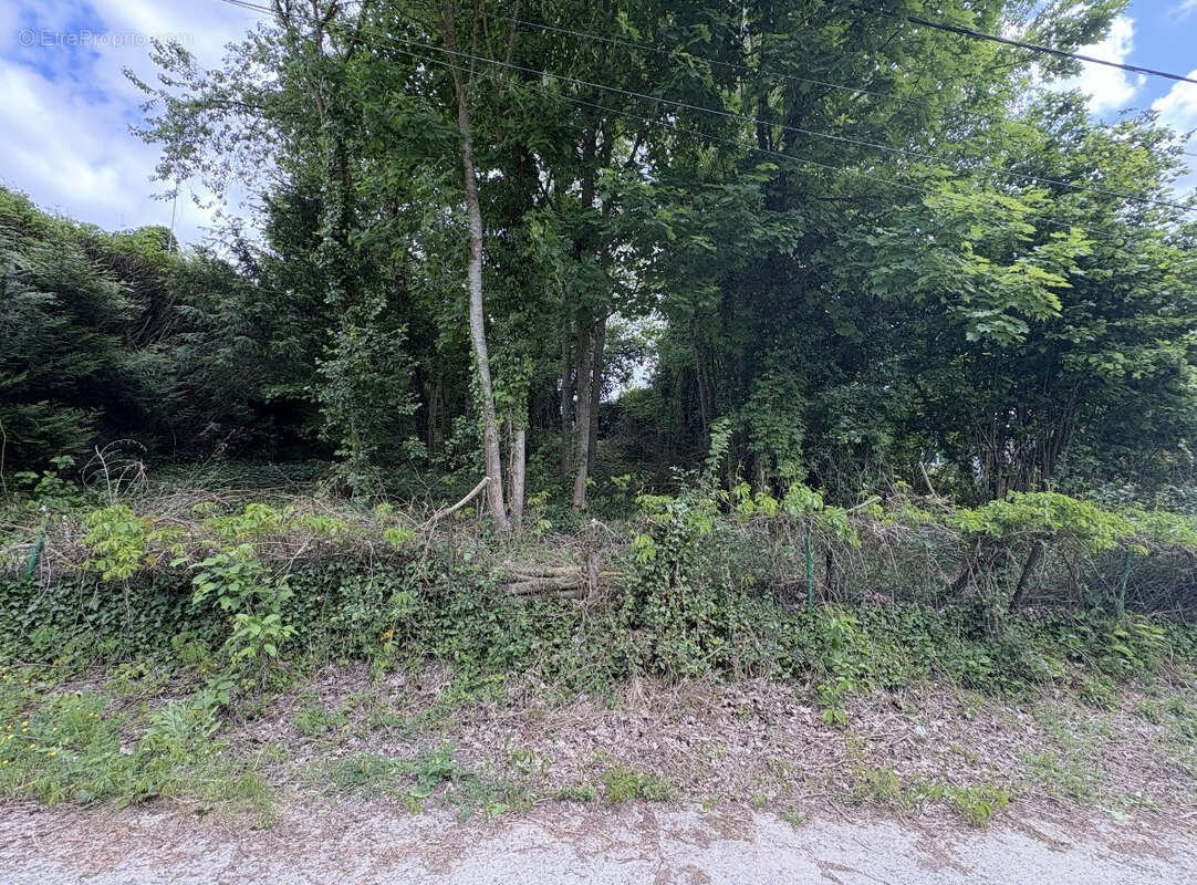 Terrain à SAINT-VAAST-LES-MELLO