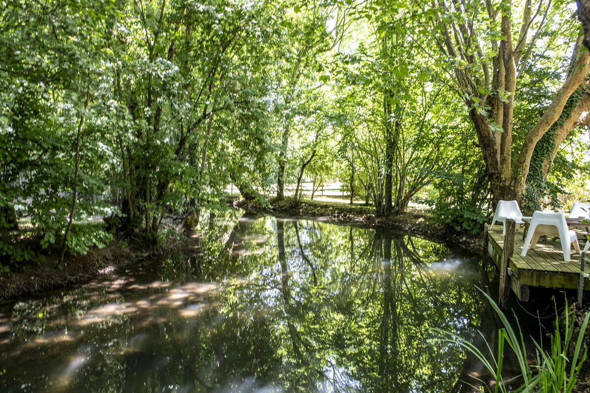 DSC8484 - Maison à SAINT-MAIXENT-L&#039;ECOLE