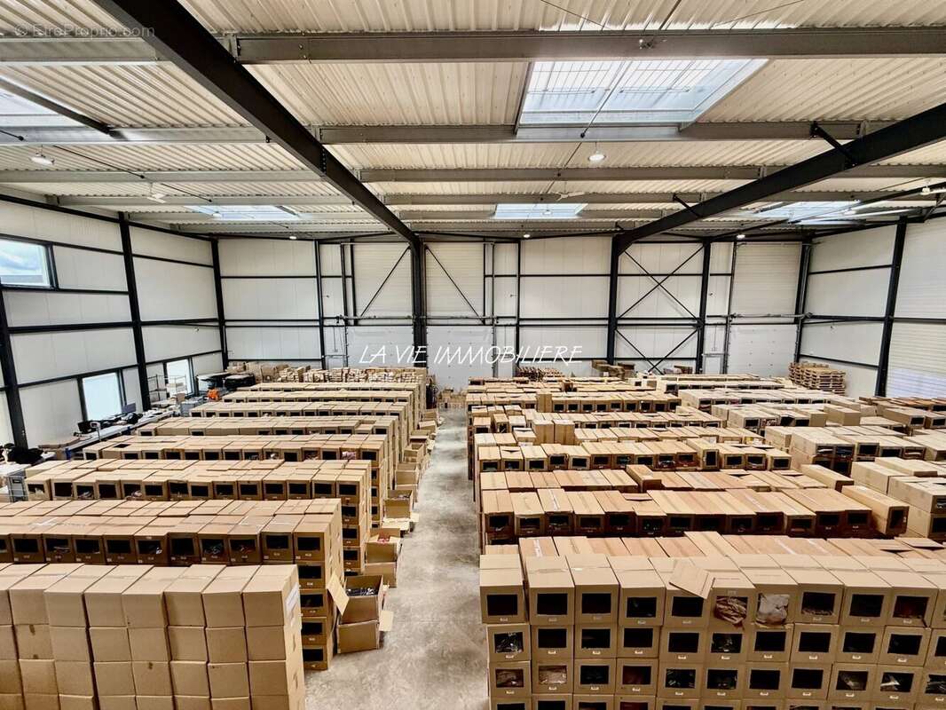 Commerce à BAILLY-ROMAINVILLIERS