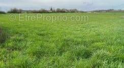 Terrain à BOUXIERES-AUX-BOIS