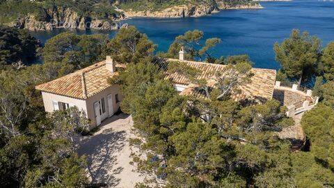 Maison à BORMES-LES-MIMOSAS