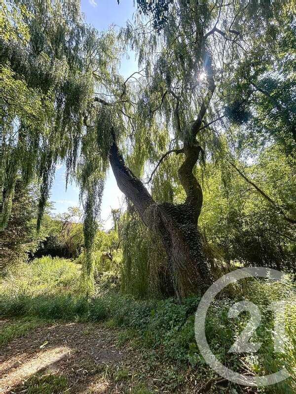 Maison à SAINT-AMAND-SUR-FION