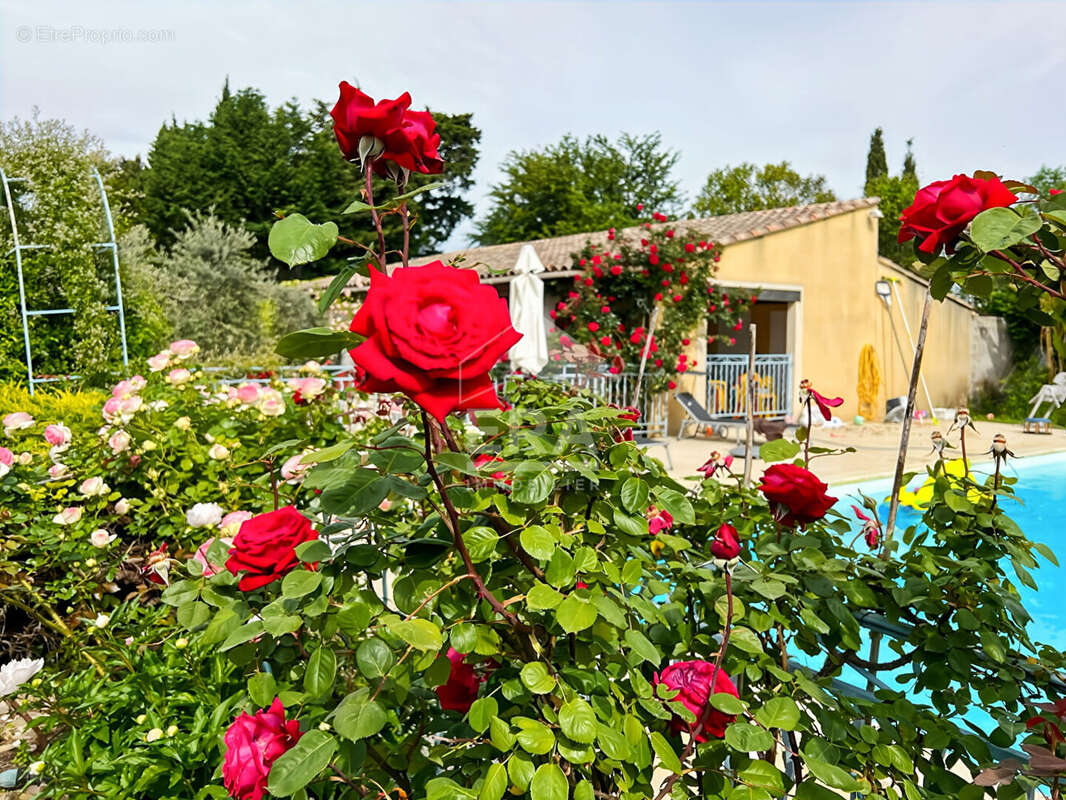 Maison à CHATEAURENARD