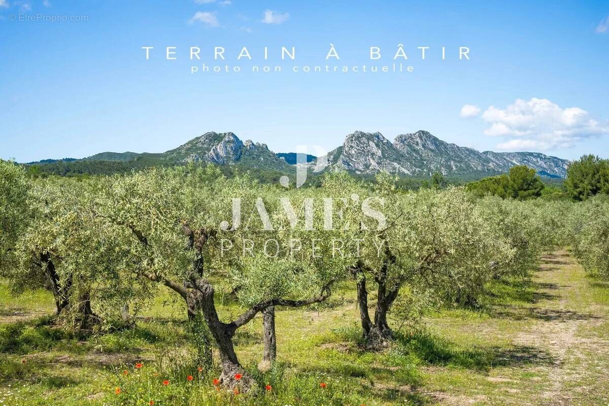 Maison à SAINT-REMY-DE-PROVENCE