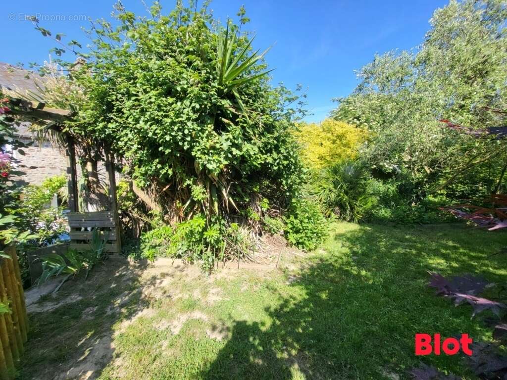 Maison à SAINT-PERE