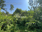 Terrain à MILLY-LA-FORET