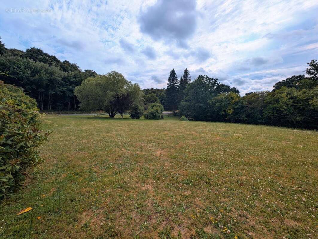 Photo 3 - Maison à MONTOURS