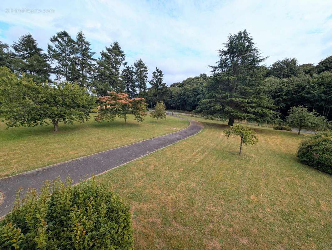 Photo 4 - Maison à MONTOURS