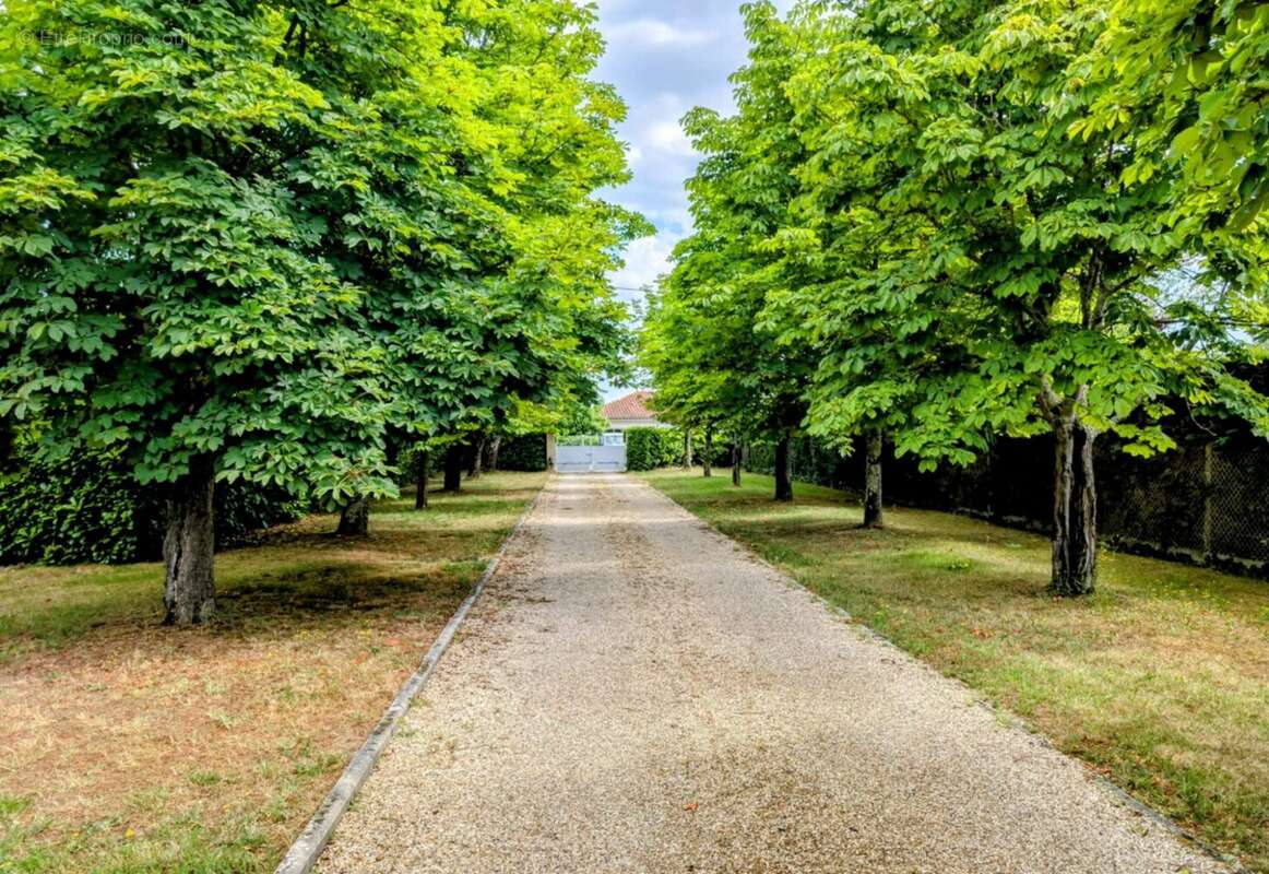 Maison à CARBON-BLANC