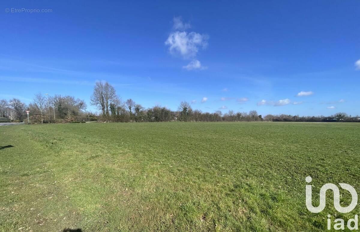 Photo 1 - Terrain à HERIC