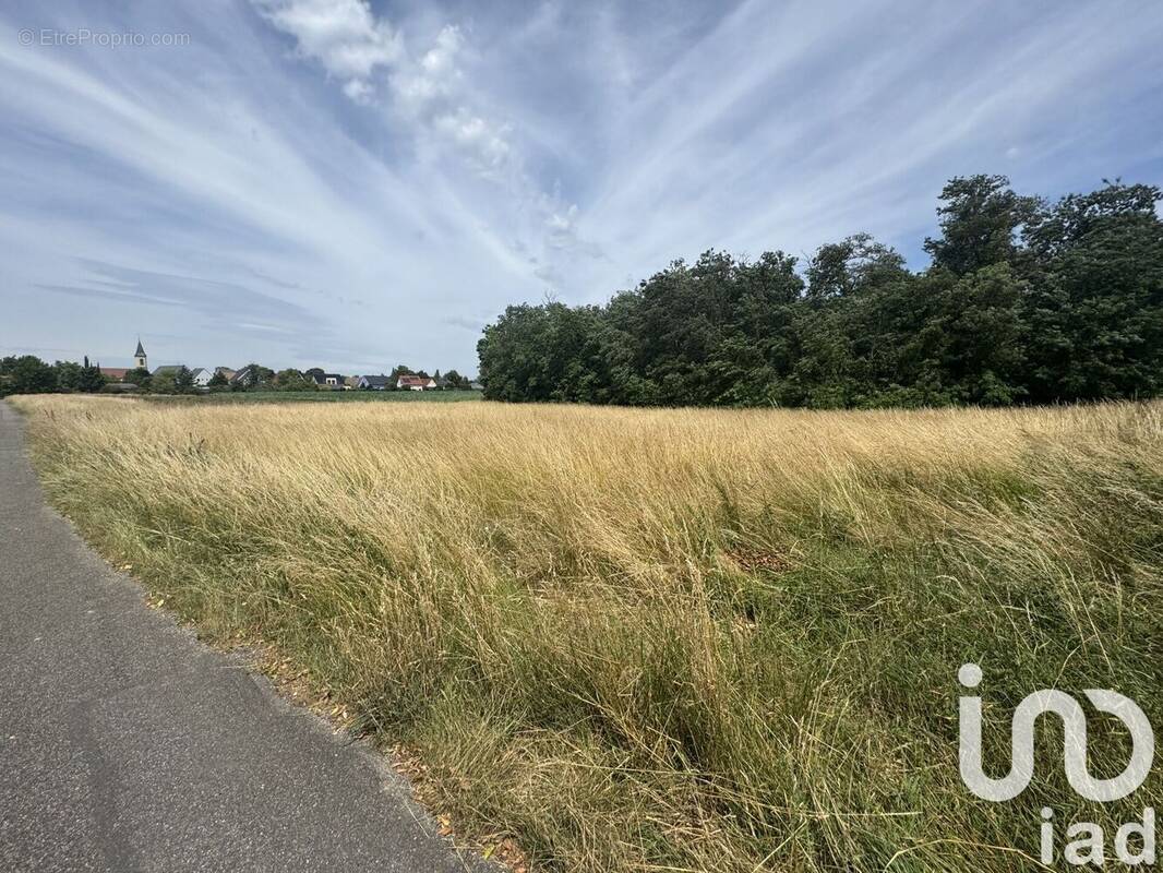 Photo 1 - Terrain à ALGOLSHEIM