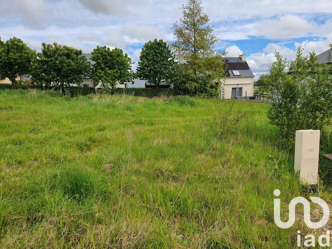 Photo 2 - Terrain à BILLE