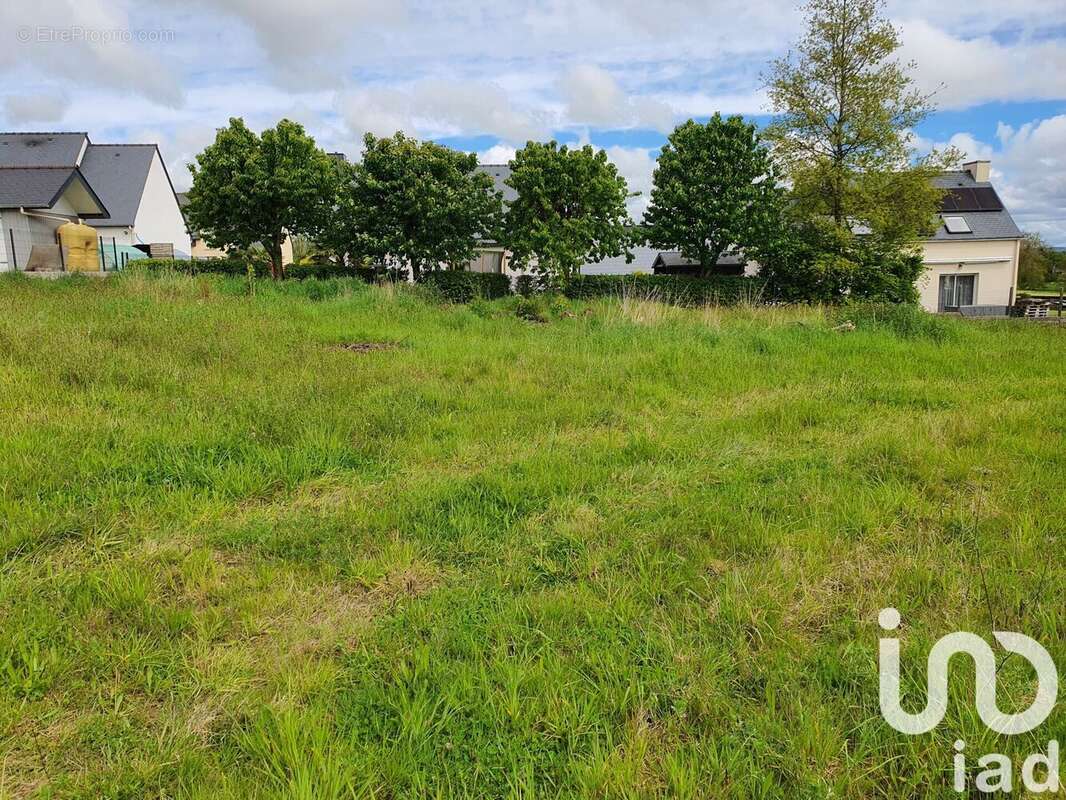 Photo 4 - Terrain à BILLE