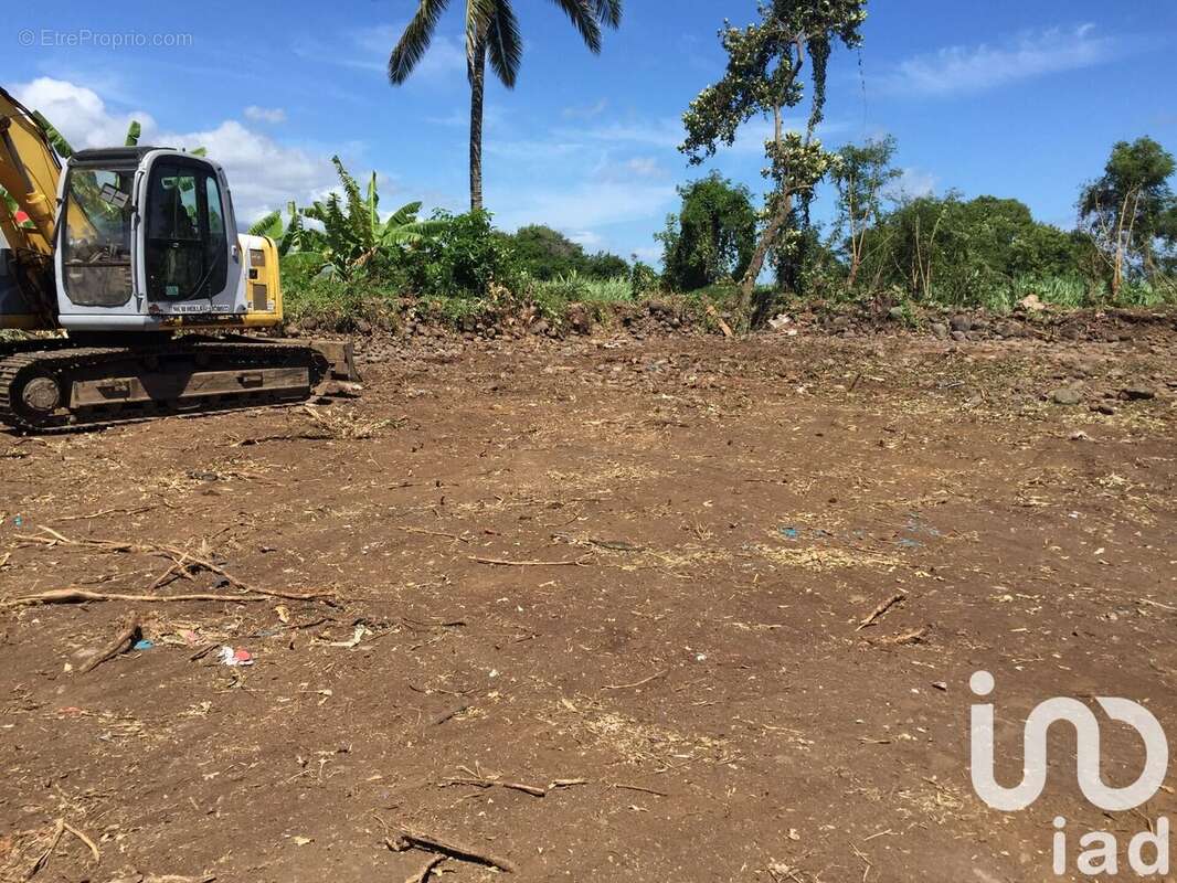 Photo 3 - Terrain à SAINT-ANDRE