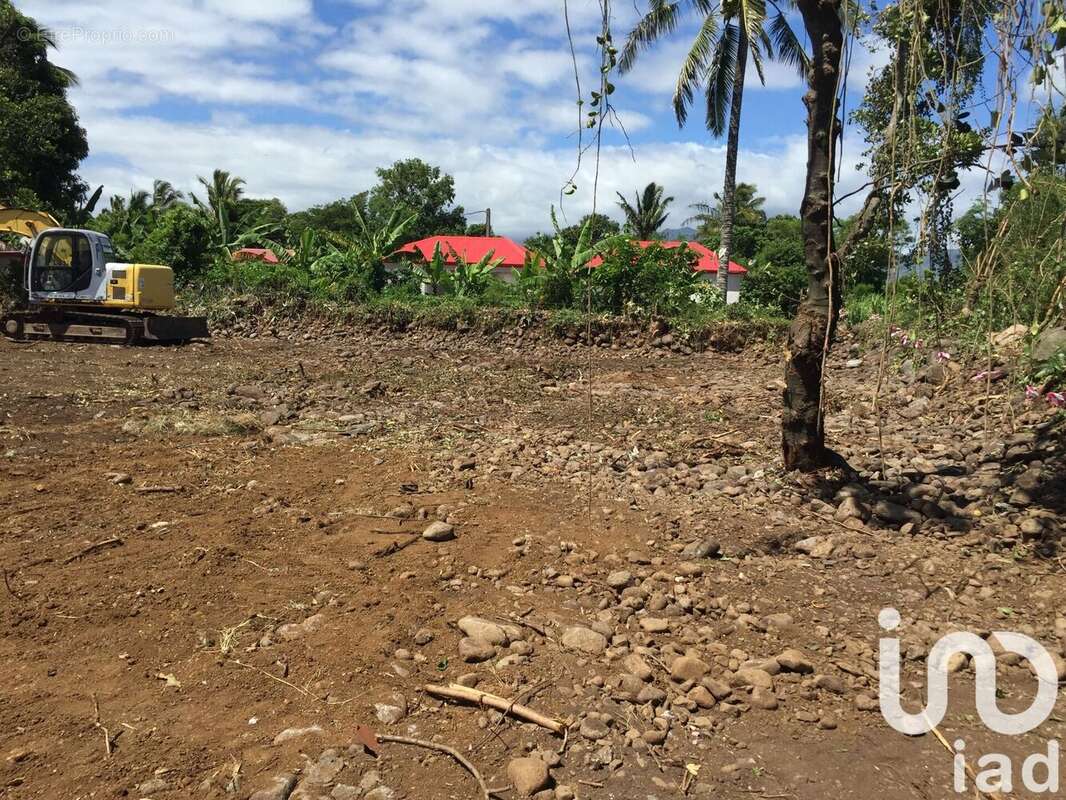 Photo 5 - Terrain à SAINT-ANDRE