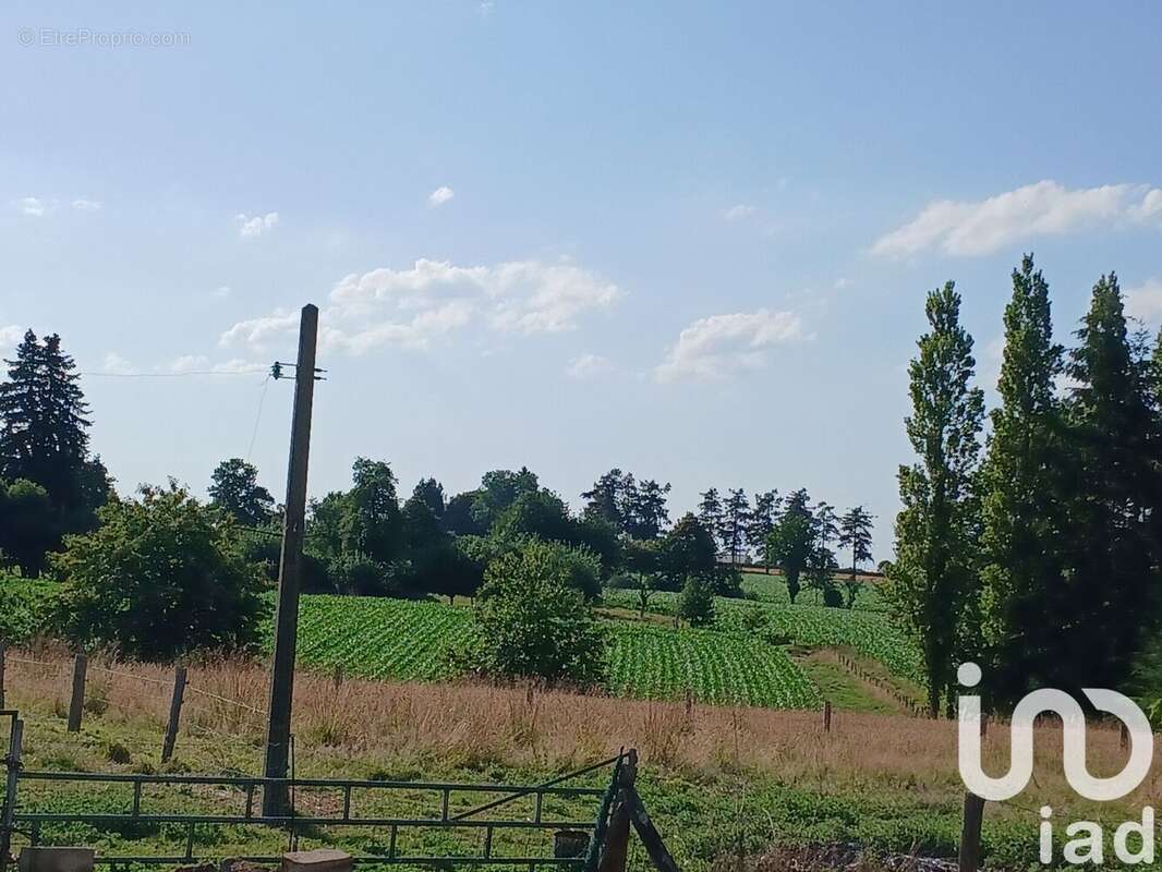 Photo 4 - Maison à SAINT-BRICE-DE-LANDELLES