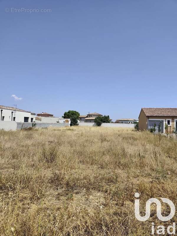 Photo 3 - Terrain à ROUBIA